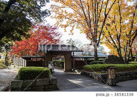 愛知　岡崎公園の茶室　紅葉の城南亭 36581336