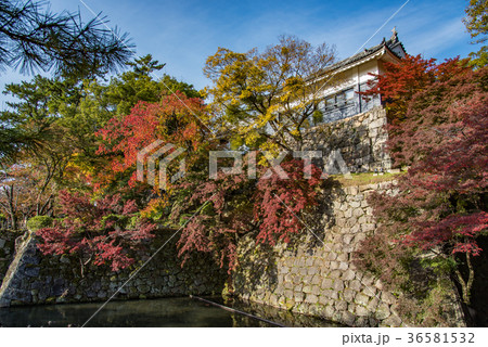 愛知 岡崎公園 紅葉の巽閣の写真素材