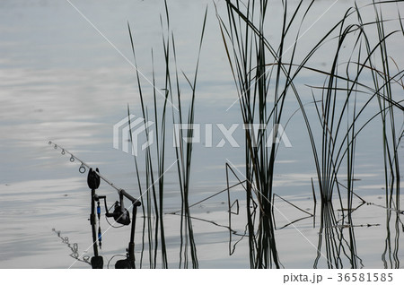 Fishing rod in the lake, waiting for the key 36581585