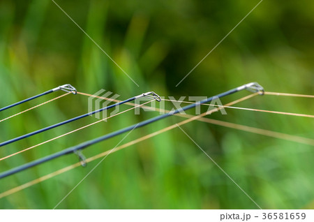 Fishing rod in the lake, waiting for the key 36581659