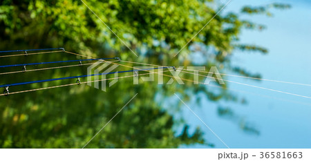 Fishing rod in the lake, waiting for the key 36581663