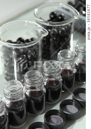 Wine quality control testing in modern laboratory 36581677