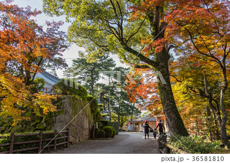 愛知 岡崎公園 紅葉の龍城神社 七五三参りに向かう親子連れの写真素材