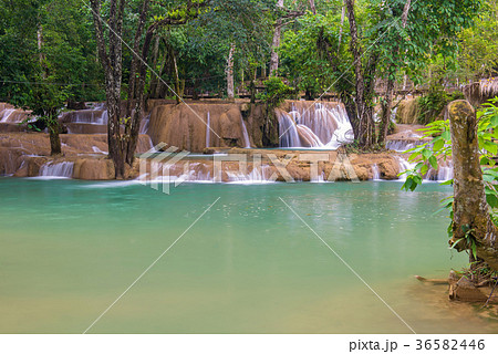 Tad Sae Waterfalls at Luang prabang, Laos 36582446