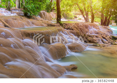 Tad Sae Waterfalls at Luang prabang, Laos. 36582448