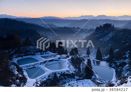 新潟県長岡市山古志 新雪の棚田と養鯉池の夜明け 新潟県長岡市山古志 新雪の棚田と養鯉池の夜明け 36584217