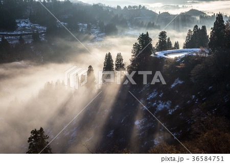 新潟県長岡市川口　雲海と光芒の里山 36584751