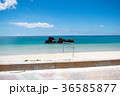 ビーチバレー 36585877