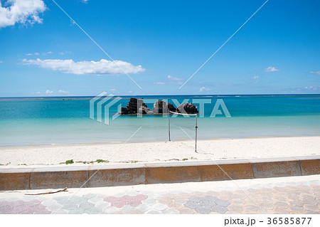 ビーチバレー 36585877