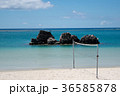 ビーチバレー 36585878