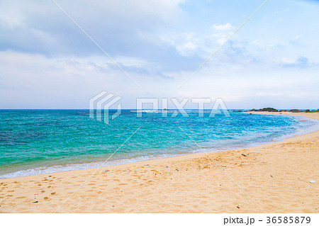 土盛海岸 奄美大島 土盛海岸 奄美大島 36585879