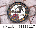 マンホール 36586117