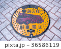 マンホール 36586119