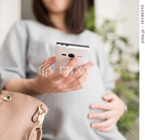 妊婦 36586540