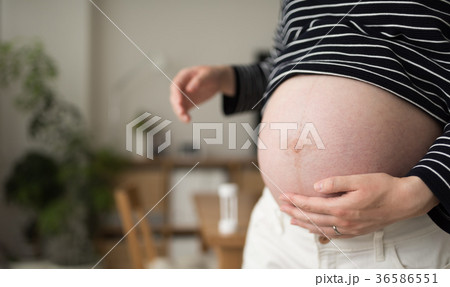 妊婦さん 妊婦さん 36586551