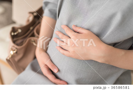 妊婦 36586581