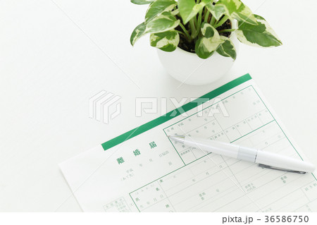 離婚届とペンとグリーン 36586750