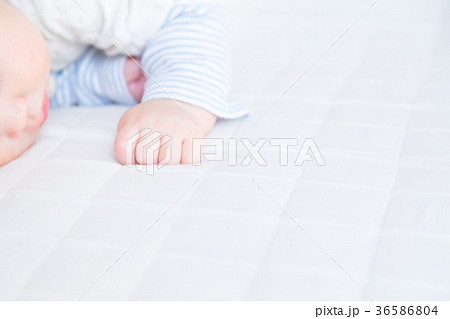 赤ちゃん、赤ん坊、あかちゃん、ベイビー、ベビー、子供、人物、日本人 36586804