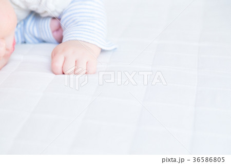 赤ちゃん、赤ん坊、あかちゃん、ベイビー、ベビー、子供、人物、日本人 赤ちゃん、赤ん坊、あかちゃん、ベイビー、ベビー、子供、人物、日本人 36586805