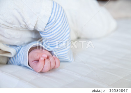 赤ちゃん、赤ん坊、あかちゃん、ベイビー、ベビー、子供、人物、日本人 赤ちゃん、赤ん坊、あかちゃん、ベイビー、ベビー、子供、人物、日本人 36586847
