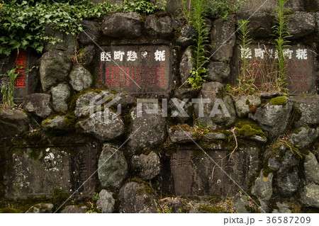 神奈川県 大山 参道の景色-石碑 神奈川県 大山 参道の景色-石碑 36587209