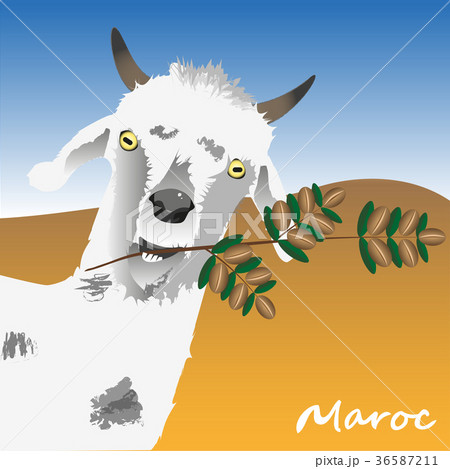 The goat is holding a branch of an argan tree with The goat is holding a branch of an argan tree with 36587211
