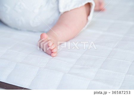 赤ちゃん、赤ん坊、あかちゃん、ベイビー、ベビー、子供、人物、日本人 赤ちゃん、赤ん坊、あかちゃん、ベイビー、ベビー、子供、人物、日本人 36587253