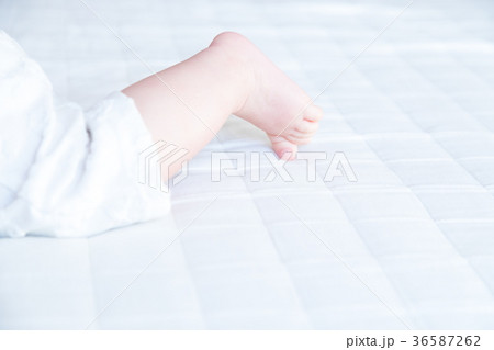 赤ちゃん、赤ん坊、あかちゃん、ベイビー、ベビー、子供、人物、日本人 36587262