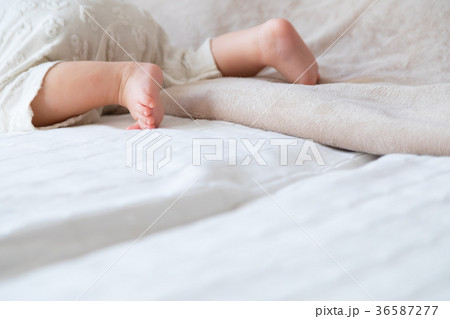 赤ちゃん、赤ん坊、あかちゃん、ベイビー、ベビー、子供、人物、日本人 36587277