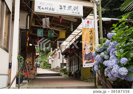 神奈川県 大山 こま参道の写真素材