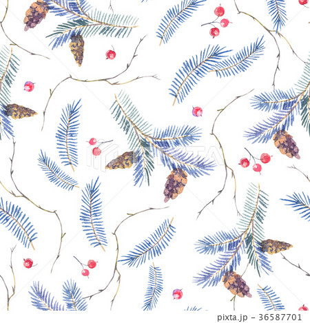 Watercolor seamless pattern with spruce branches 36587701