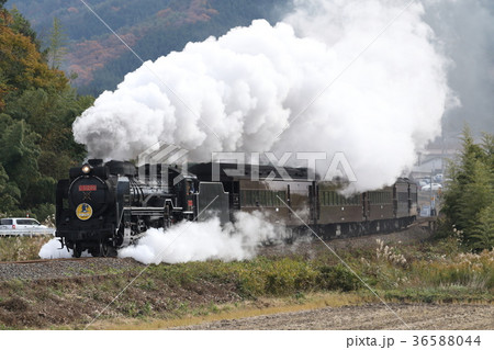 SLやまぐち号(D51 デゴイチ牽引) SLやまぐち号(D51 デゴイチ牽引) 36588044