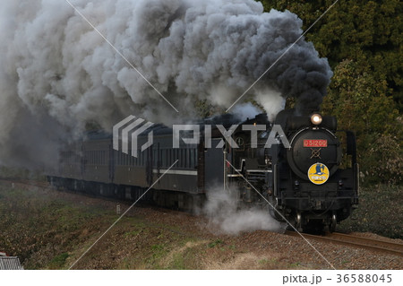 SLやまぐち号（D51　デゴイチ牽引） 36588045