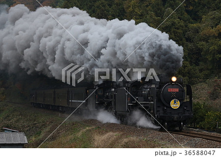 SLやまぐち号(C57、D51重連) SLやまぐち号(C57、D51重連) 36588047