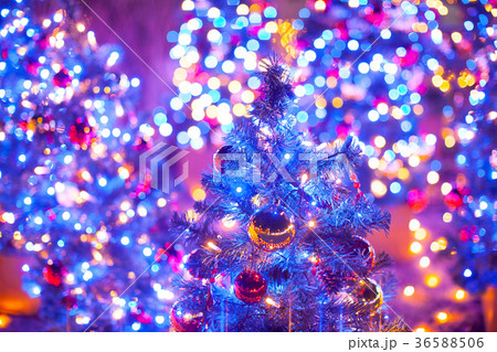 クリスマスツリーのイルミネーション クリスマスツリーのイルミネーション 36588506