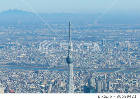東京スカイツリーの空撮写真 東京スカイツリーの空撮写真 36589421