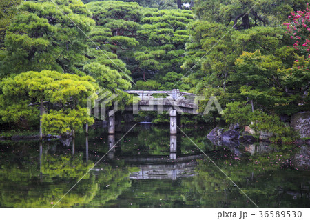 橋 ブリッジ 橋梁 36589530