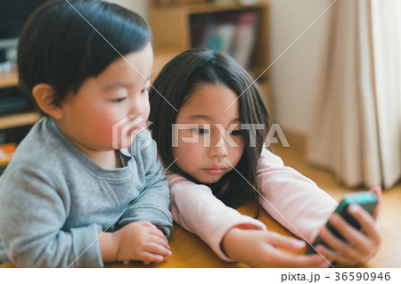2 years old　&　7 years old 36590946