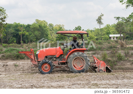 Thai farmers are using a tractor to prepare Thai farmers are using a tractor to prepare 36591472