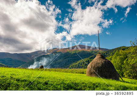 haystacks in a field near the forest and mountain 36592895