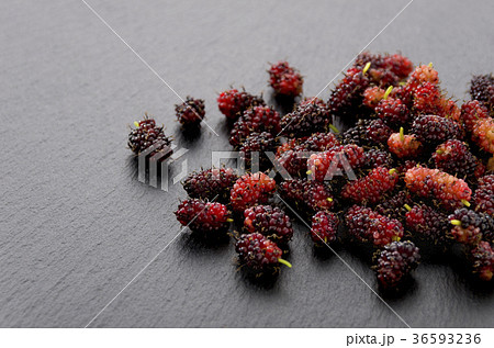 クワの実 クワの実 36593236