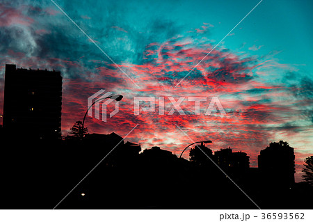 バルパライソの夕焼け 36593562