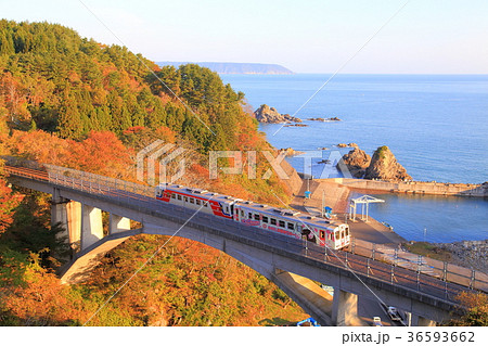 陸中海岸　ローカル線　大沢橋梁 36593662