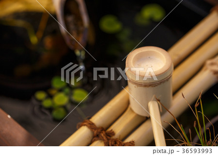 日本のつくばい 36593993