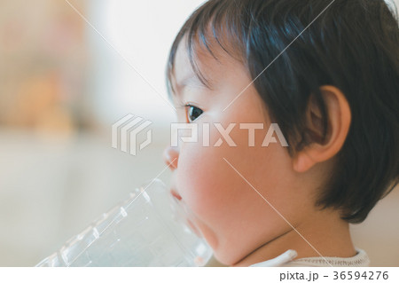 2 years old 36594276