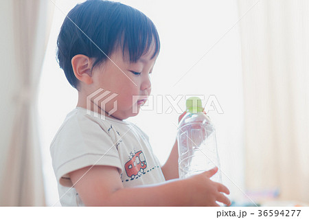 2 years old 36594277