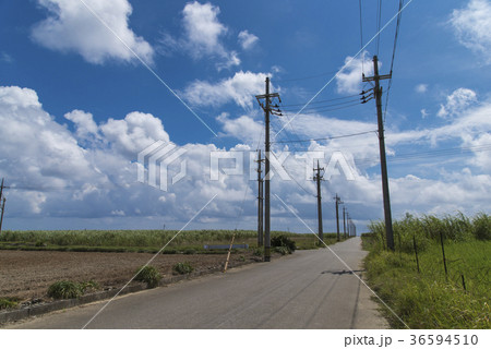 波照間島の風景 36594510