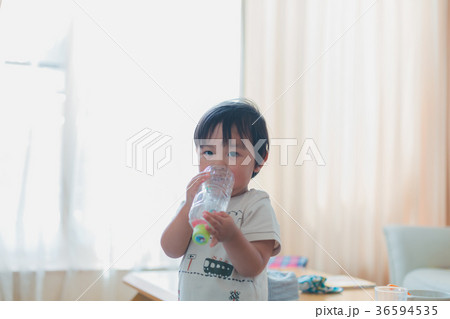 2 years old 36594535