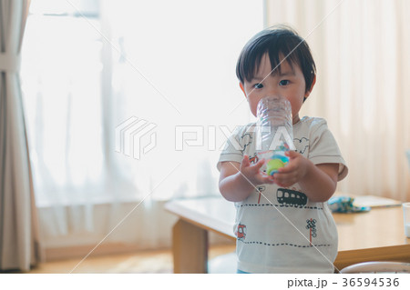 2 years old 36594536