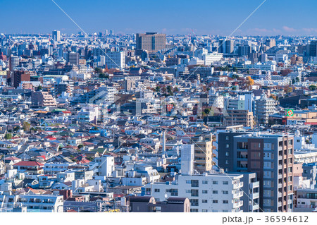 《東京都》爽やかな朝の住宅街 36594612